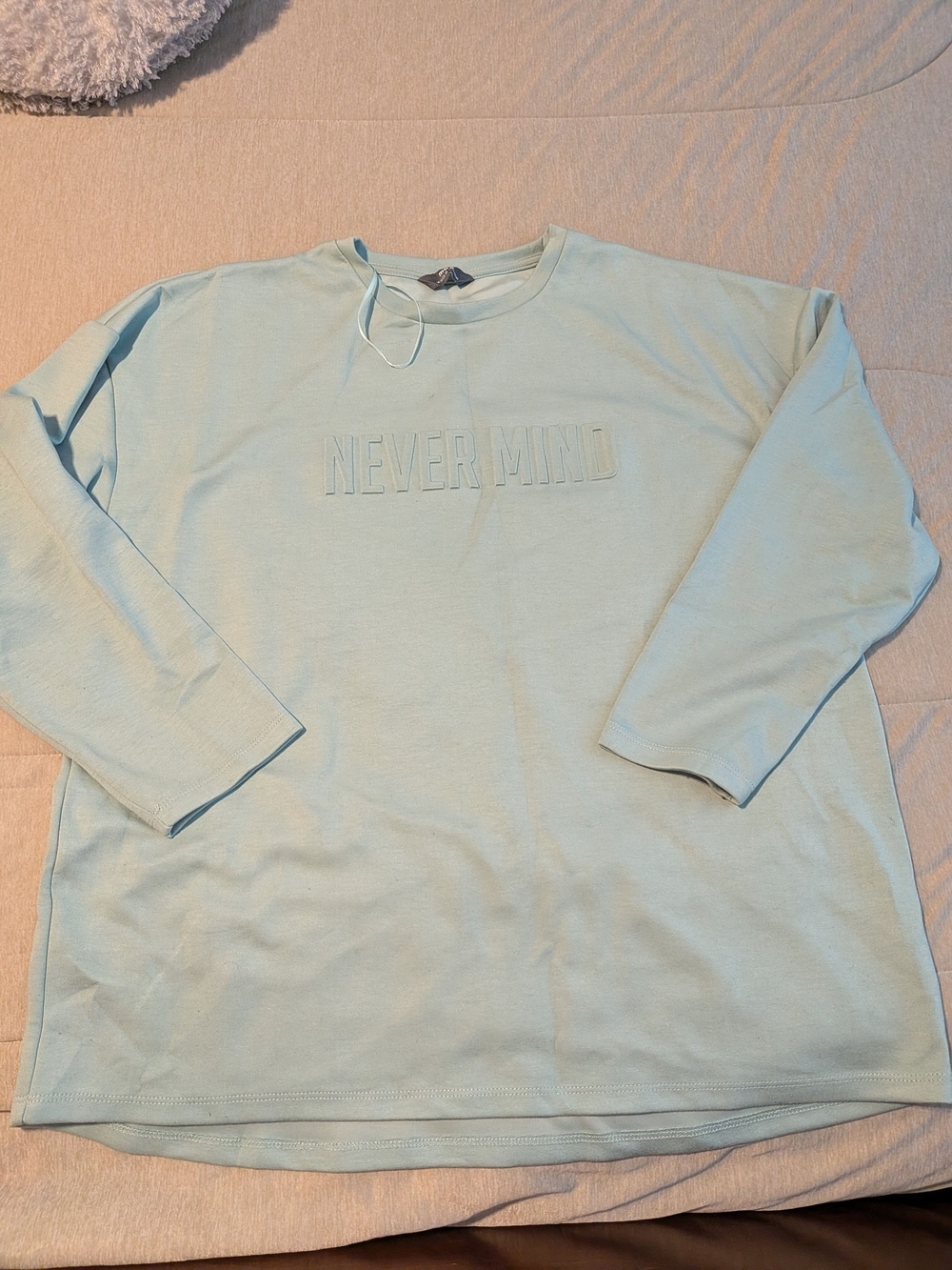 Never Mind Embroidered Crewneck Sweater - Light Blue